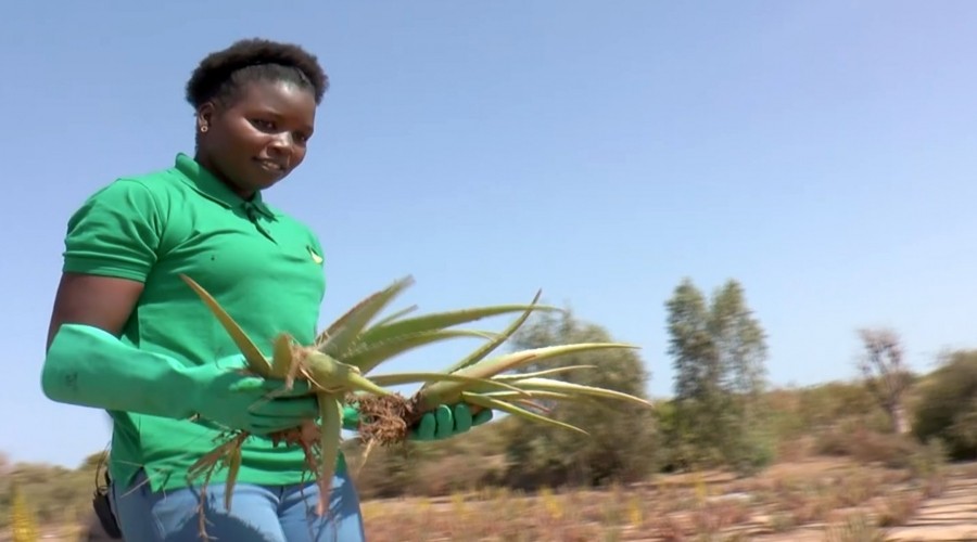 Fatou Sarr: Fondatrice de Takhar Aloé,des produits de beauté à base d'aloé vera