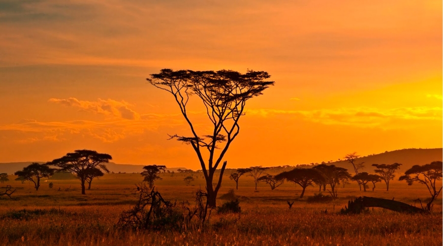 Les plus beaux paysages d'Afrique